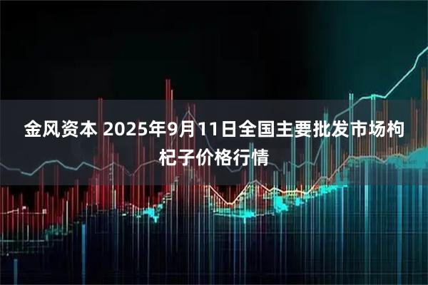 金风资本 2025年9月11日全国主要批发市场枸杞子价格行情