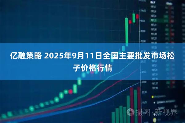 亿融策略 2025年9月11日全国主要批发市场松子价格行情