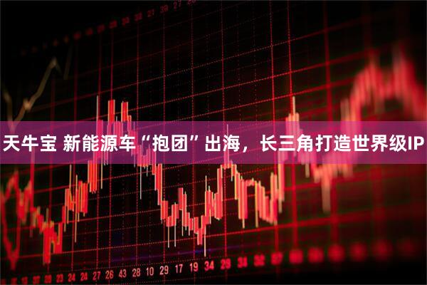 天牛宝 新能源车“抱团”出海，长三角打造世界级IP