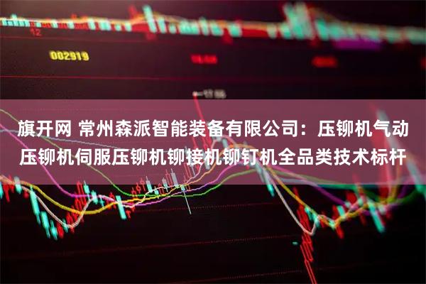 旗开网 常州森派智能装备有限公司：压铆机气动压铆机伺服压铆机铆接机铆钉机全品类技术标杆
