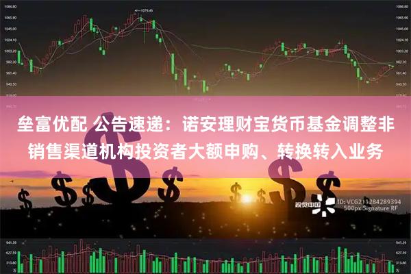 垒富优配 公告速递：诺安理财宝货币基金调整非销售渠道机构投资者大额申购、转换转入业务